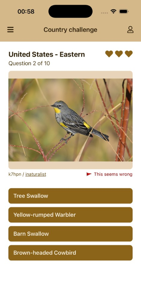 Country challenge: United States Eastern, question 2 of 10, identify a Yellow-rumped Warbler